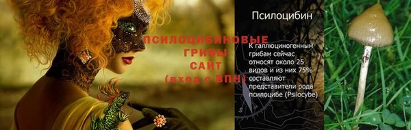 не бодяженный Алексин