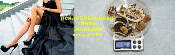 не бодяженный Алексин