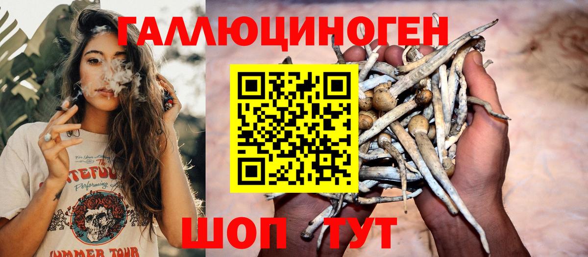 Галлюциногенные грибы Magic Shrooms  Вход с VPN  Богданович 