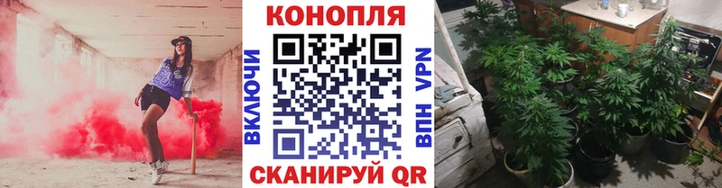 закладка  Богданович  Бошки Шишки Amnesia 